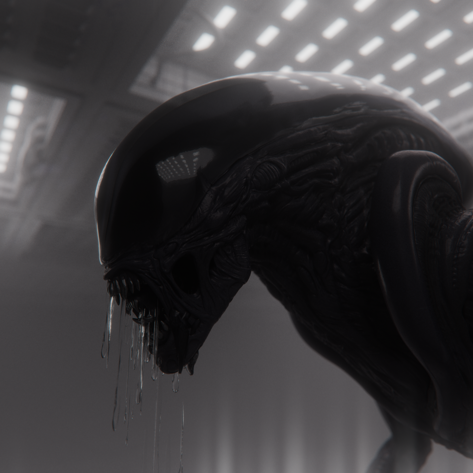 XENOMORPH