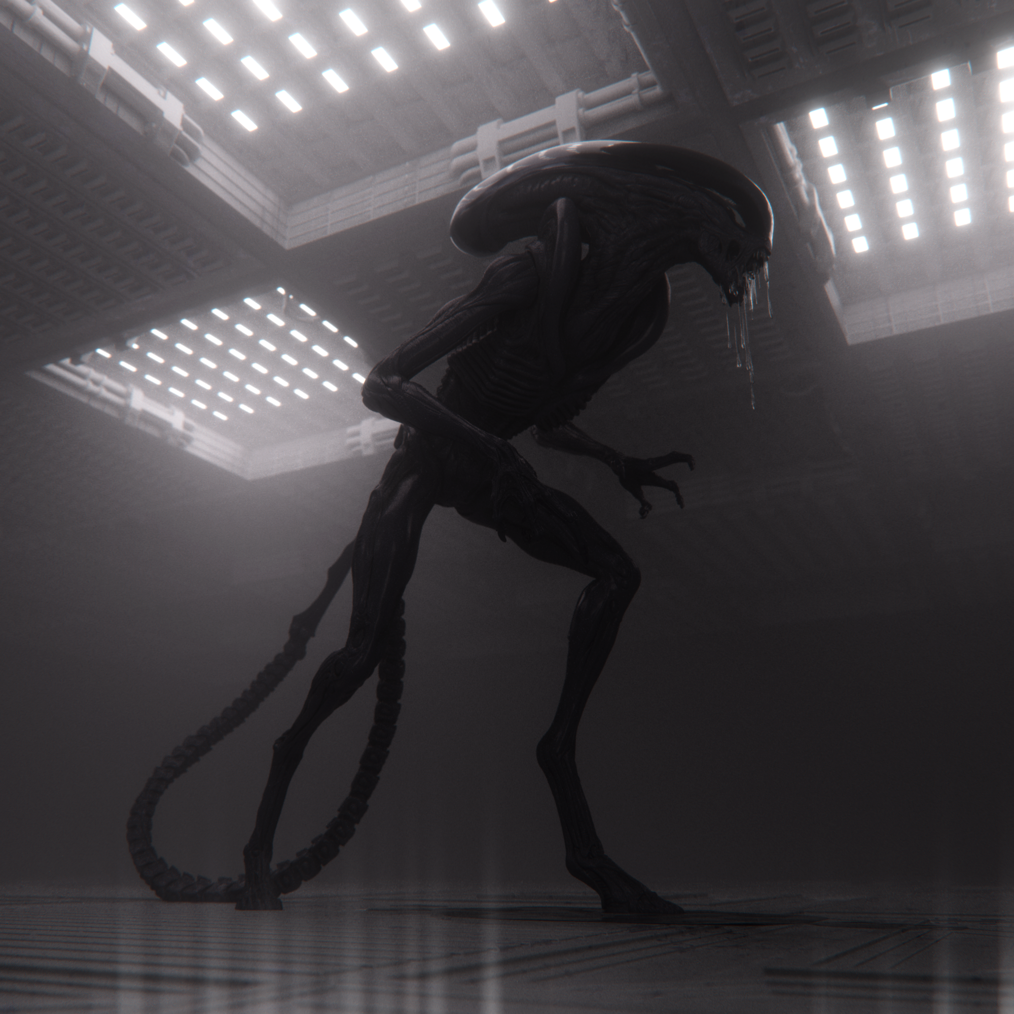 XENOMORPH 03